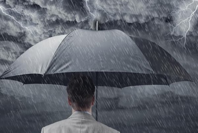Een oerwoud aan bv’s: past uw ondernemingsstructuur nog bij u?