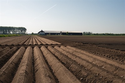 Behoud overzicht in uw akkerbouwbedrijf met een liquiditeitsprognose