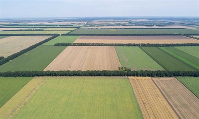 Landschapselementen: intekenen of niet?