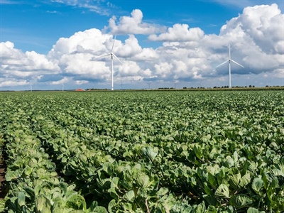 Per september: subsidie voor geïntegreerde gewasbescherming