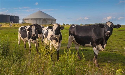 In zes stappen naar monomestvergisting op uw bedrijf