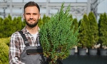 Flynth op GrootGroenPlus