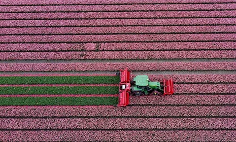 Flynth op de Mechanisatietentoonstelling Bollenstreek 2026