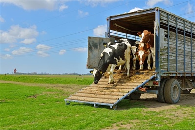 Regeling provinciale aankoop veehouderijen nabij natuurgebieden