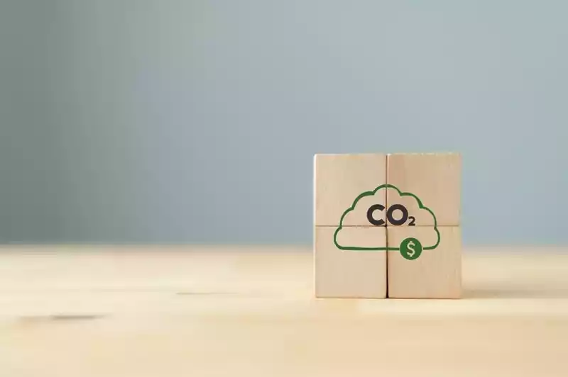 Carbon credits: oplossing voor klimaatcompensatie agro en mkb