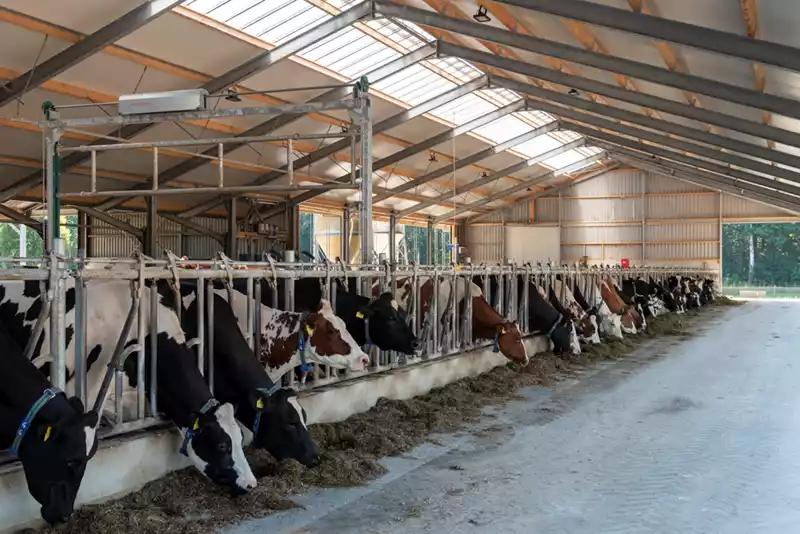 Vernietiging vergunningen emissiearme stalsystemen
