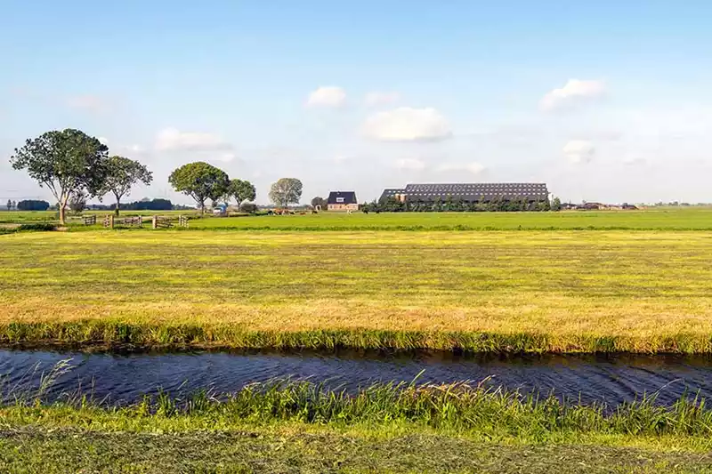 Toch dit jaar al nieuwe strengere mestregels