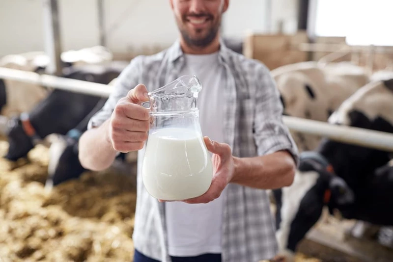 Maakt u als melkveehouder gebruik van de Melkvolumeregeling van FrieslandCampina?