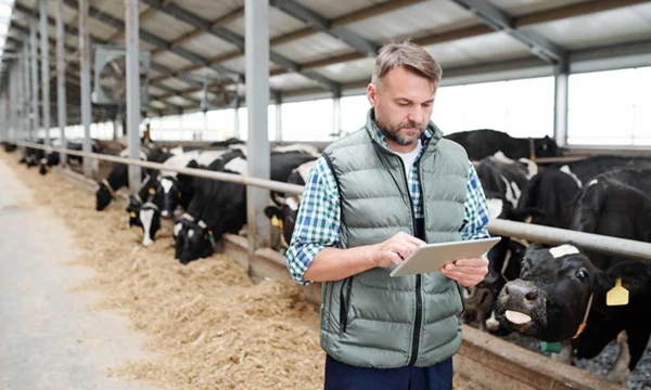 Verhoogde melkprijs 2022 biedt melkveehouders perspectief