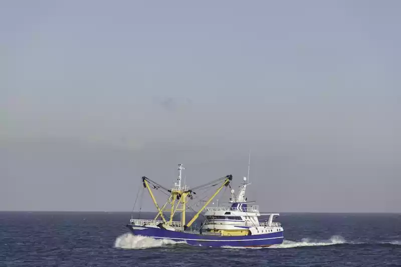 Flynth ontwikkelt visiedocument visserijsector: samen meer innovatiekracht