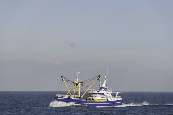 Flynth ontwikkelt visiedocument visserijsector: samen...