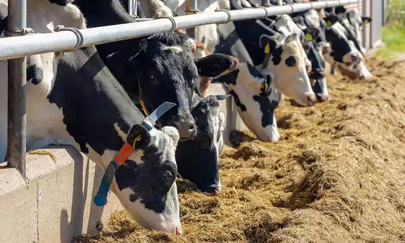 Stoppersregelingen: breng uw scenario’s in kaart