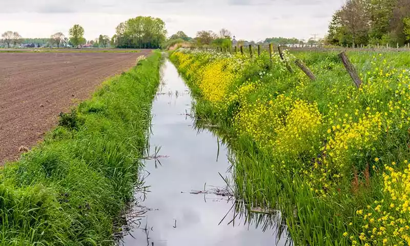 Extra tijd voor toevoegen eco-activiteiten in Gecombineerde Opgave
