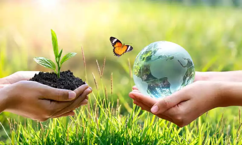 Meer biodiversiteit biedt kansen voor de glastuinbouw