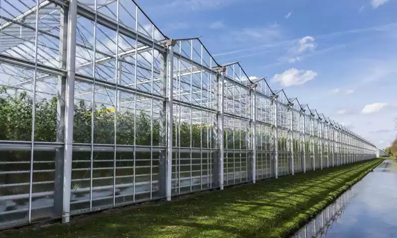Nieuwe subsidieregeling Warmte-infrastructuur glastuinbouw (SWiG)