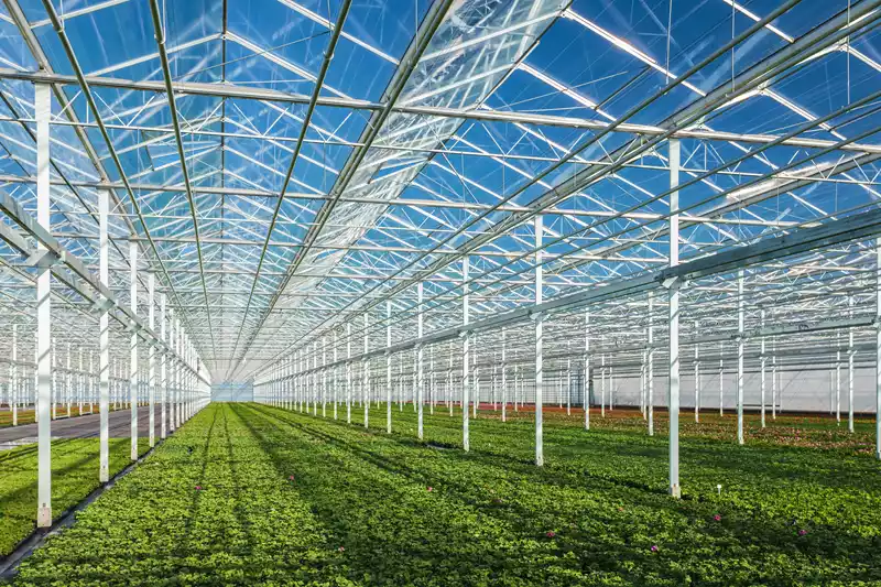 Nieuwe subsidieronde Energie-efficiëntie glastuinbouw (EG-subsidie)