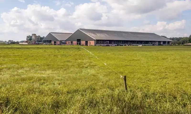 Mestbeleid en derogatie in 2024: hoe voldoet u aan de eisen?