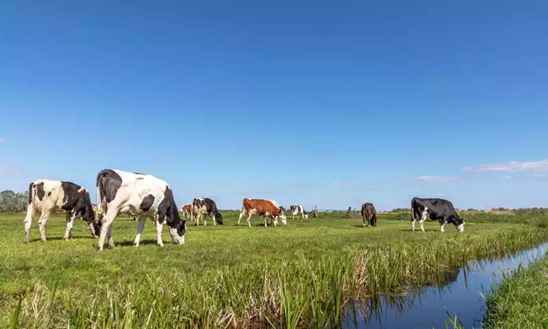 Schade door PAS? Voorkom verjaring van uw vorderingsrecht