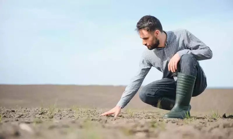 Belangrijke redenen om uw landbouwgrond te bemonsteren