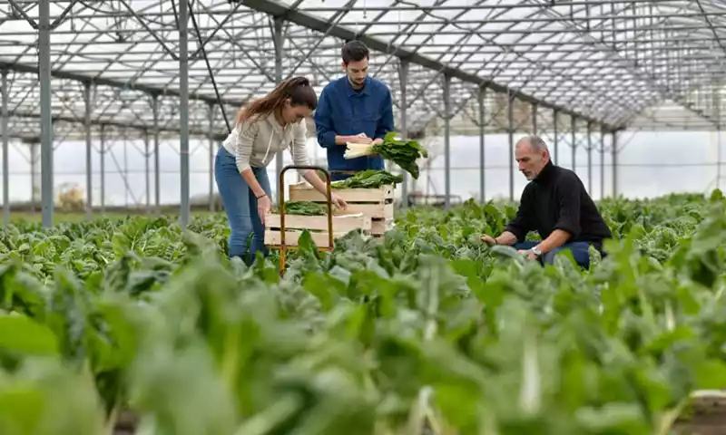 Nieuwe regels voor woningverhuur aan arbeidsmigranten