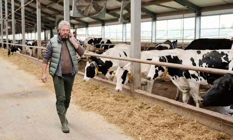 GLB-vouchers: profiteer van subsidie op bedrijfsadvies of bedrijfsplan