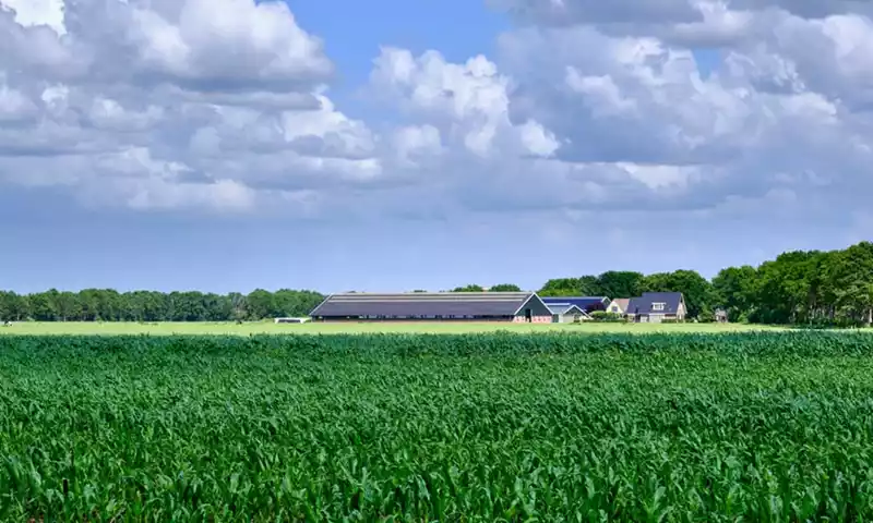 Europese Commissie akkoord met verplaatsingsregeling: wat betekent dit voor u?