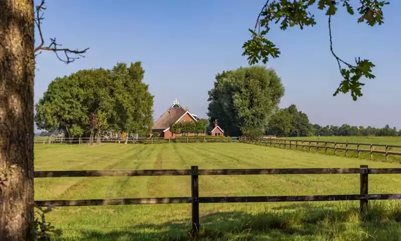 Korting op productierechten bij overdracht: let op bij overdracht naar bv