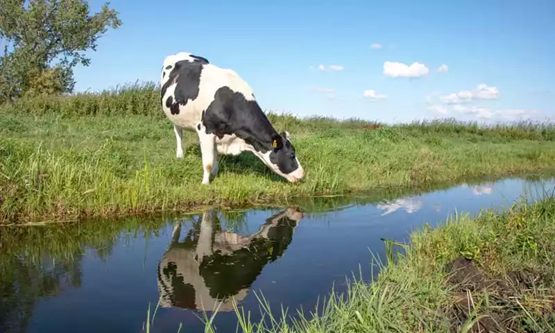 Wat doet omschakeling naar biologisch met uw rendement?