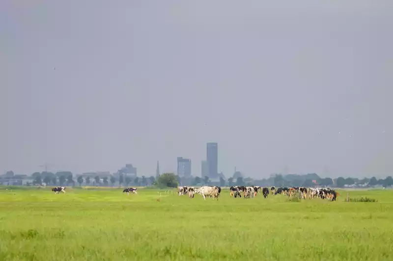 Stikstof en vergunningen: schijnt de zon ons weer toe?