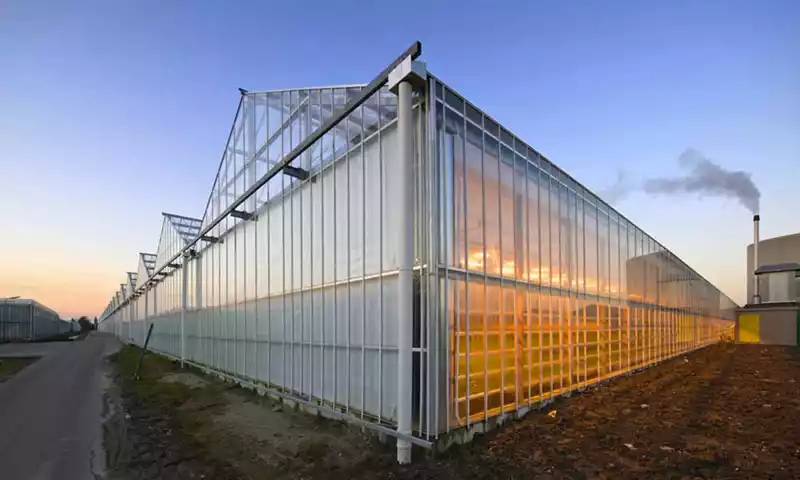 Versoepeling van duurzaamheidsregels: Wat betekent dit voor de tuinbouw?