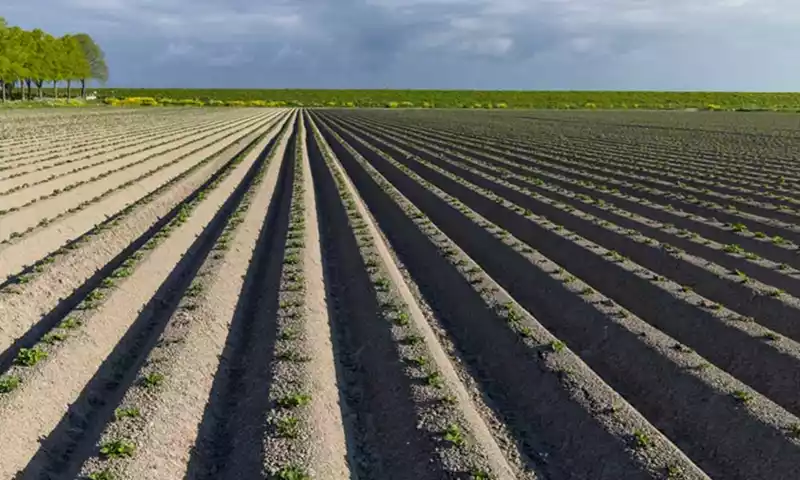 Wat is de kostprijs van uw aardappelen?
