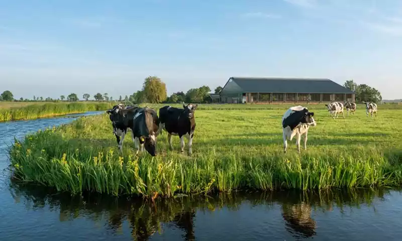 Langetermijnverwachting melkprijs naar 49 euro