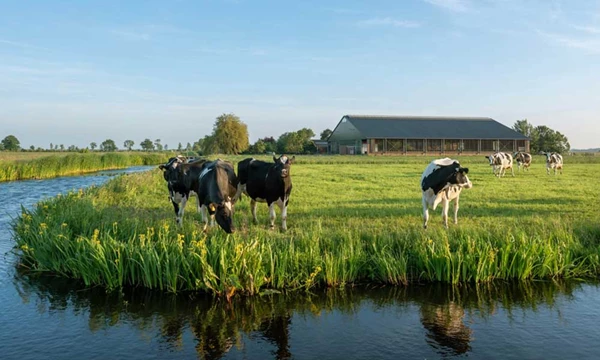 Langetermijnverwachting melkprijs naar 49 euro