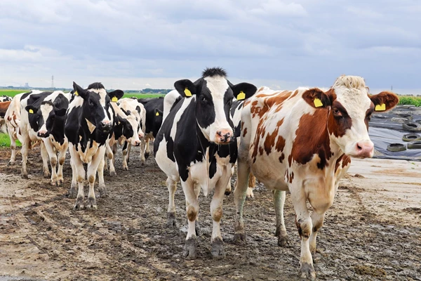 Startpakket voor op gang brengen vergunningverlening