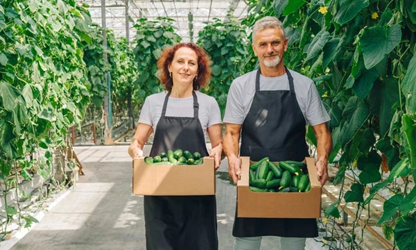 Samenwerken aan innovatie in de land- en tuinbouw, denk...