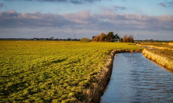 Afroming en mestverwerking: voorkom knelpunten, begin op...
