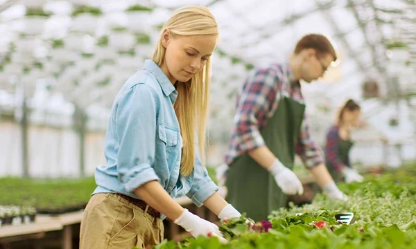 Arbeid als strategische kans in de tuinbouw
