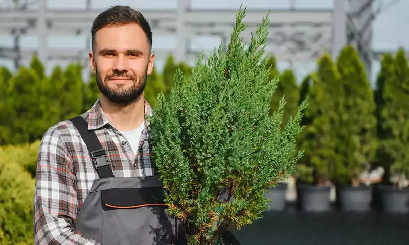 Boomkwekerijsector: Maak de stap naar een duurzame toekomst