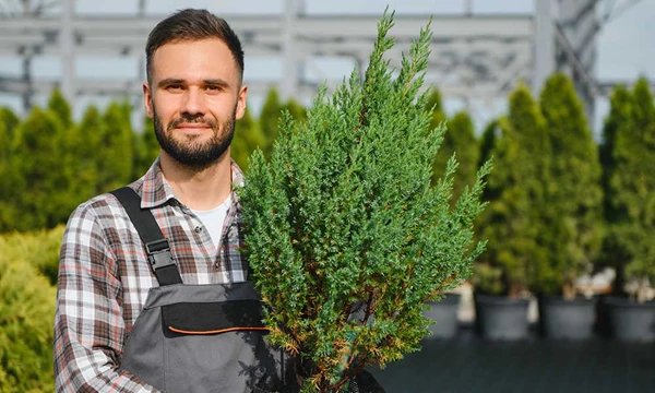 Boomkwekerijsector: Maak de stap naar een duurzame toekomst