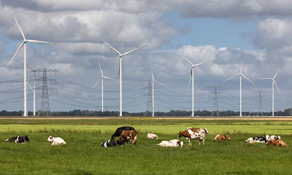 Impulspakket stikstof: wat mag u verwachten van doelsturing?