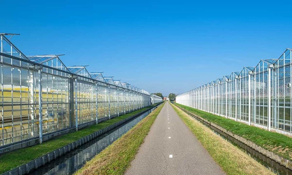 CO₂-uitdagingen voor telers