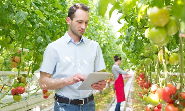 Stijgende kosten in de tuinbouw: tijd om de regie te nemen