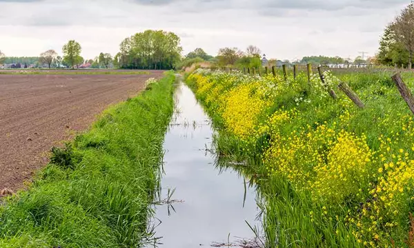 ‘Verduurzaming landbouw is noodzakelijk, onvermijdelijk én haalbaar’