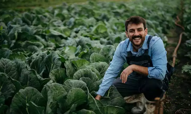 Tips voor doorgeven ‘Aanvullende gegevens landbouwer’ 2026