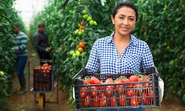 ETS-2 komt later:wat betekent dit voor uw...