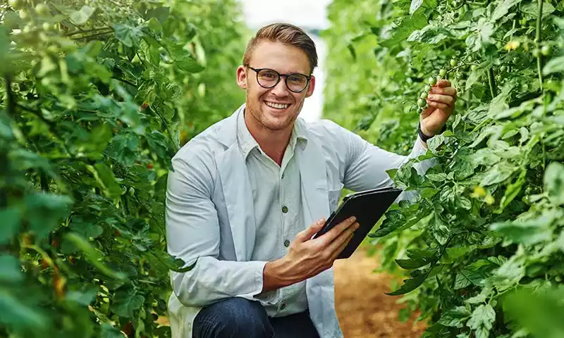 Slim investeren in duurzame glastuinbouw