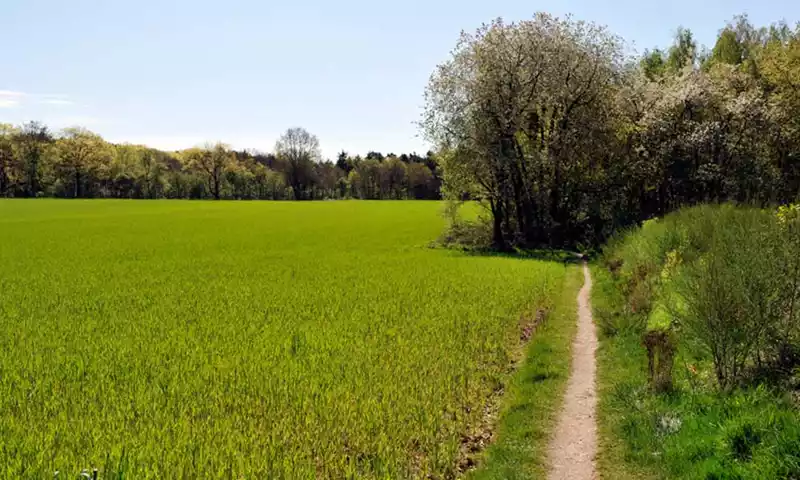 GLB: de wijzigingen in 2026