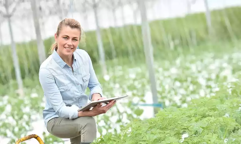 Toekomstbestendig ondernemen in de tuinbouw: bouw aan een stevig bedrijfsplan