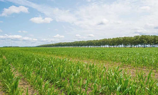 Vruchtwisseling en landbouwvrijstelling: strengere...