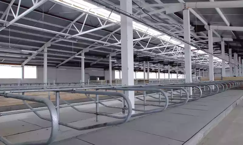 Vrijwillige stoppersregeling veehouderij: wat betekent dit voor u?